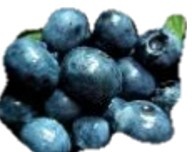 Blueberry - nutritional information