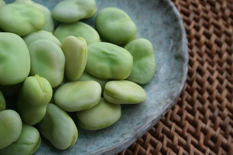 Broad Bean nutritional information