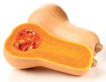 Butternut squash