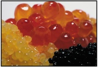 Cavier nutritional information