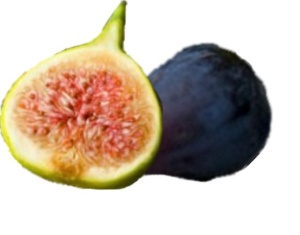 Figs - nutritional information