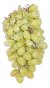 Grapes - nutritional information
