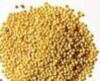 Amaranth nutritional information