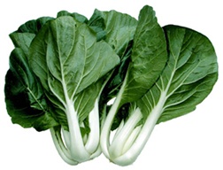 Bok Choy nutritional information