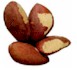 brazil nuts nutritional information