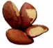 brazil nuts