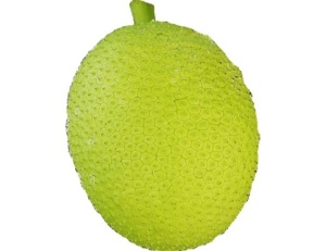 Breadfruit nutritional information