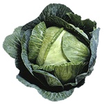 cabbage