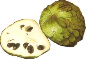 Cherimoya nutritional information