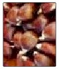 chestnuts nutritional information