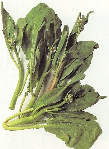 chinese broccoli