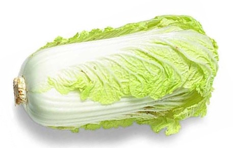 Chinese Cabbage