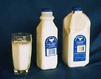 Goat milk - nutritional information