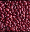 Kidney Beans (red beans)