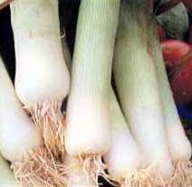 leeks