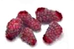 Loganberries nutritional information