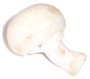 mushrooms nutritional information
