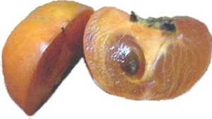 Persimmon nutritional information