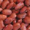 Pinto Beans nutritional information
