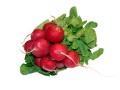 radish