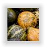 winter squash nutritional information